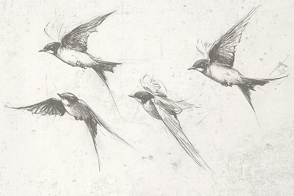 Groupe d'oiseaux en vol Groupe d'oiseaux en vol