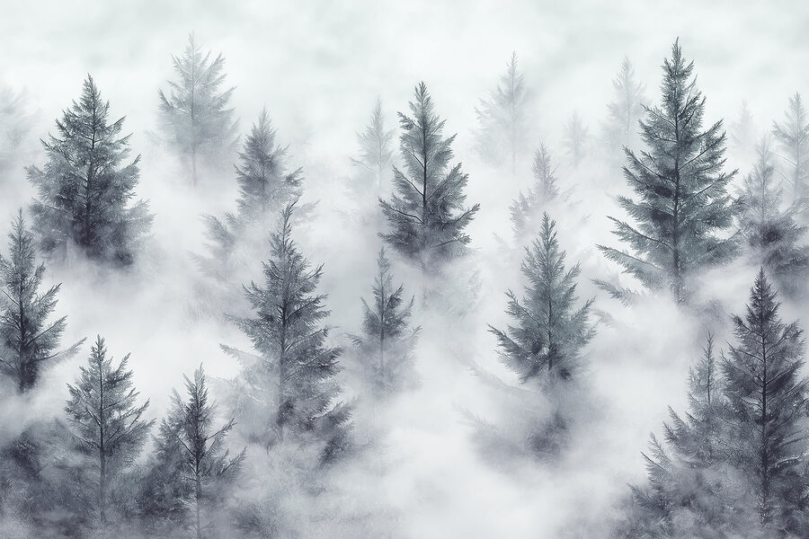 Groupe d'arbres dans le brouillard Groupe d'arbres dans le brouillard