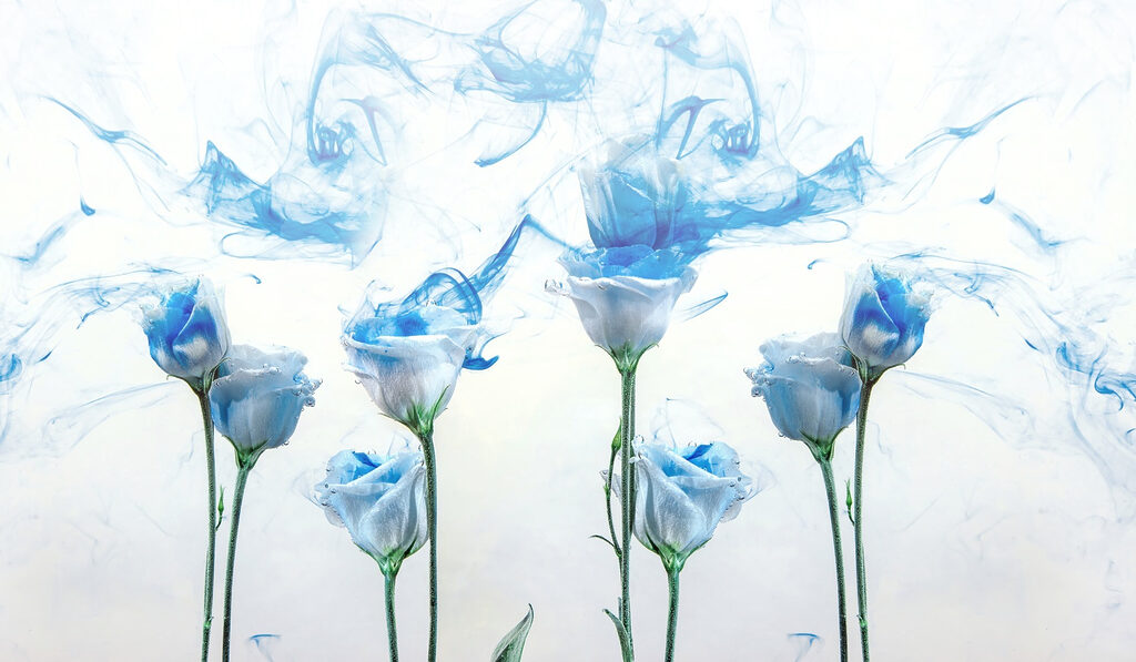 Groupe de fleurs à l'encre bleue dans l'eau Groupe de fleurs à l'encre bleue dans l'eau