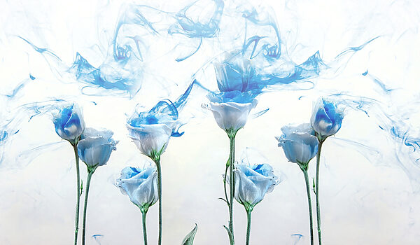 Groupe de fleurs à l'encre bleue dans l'eau Groupe de fleurs à l'encre bleue dans l'eau