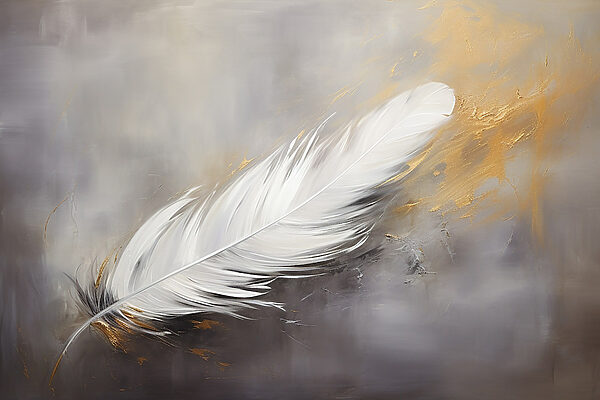 Plume blanche sur fond gris Plume blanche sur fond gris