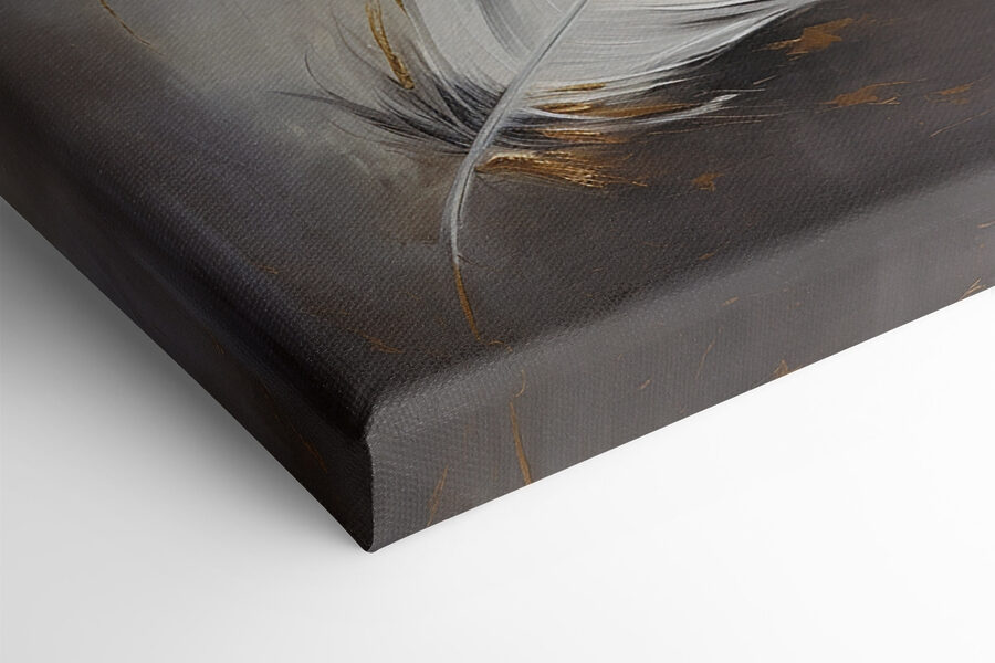 Plume blanche sur fond gris