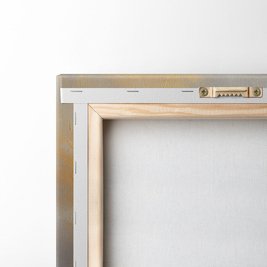 Plume blanche sur fond gris