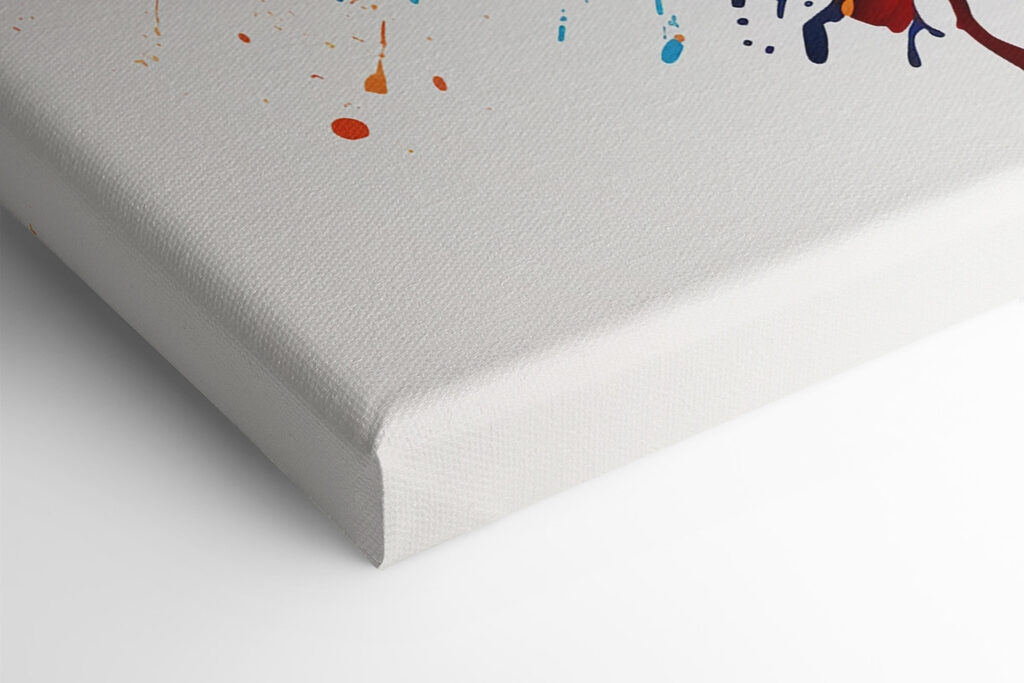 Colorful butterfly with paint splashes