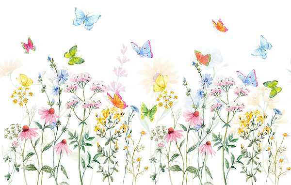 Peinture de fleurs et de papillons Peinture de fleurs et de papillons
