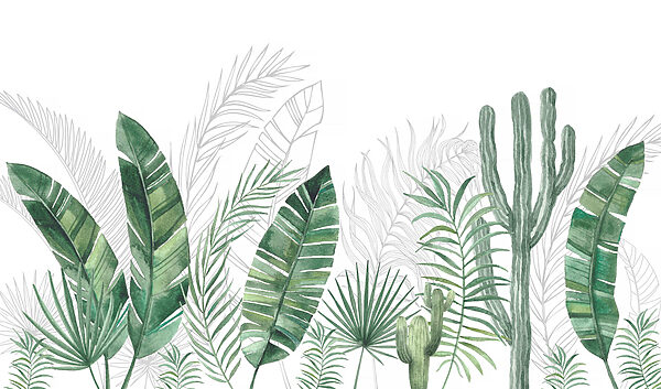 Groupe de feuilles vertes et de cactus Groupe de feuilles vertes et de cactus
