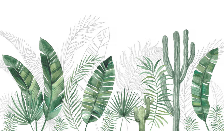Groupe de feuilles vertes et de cactus