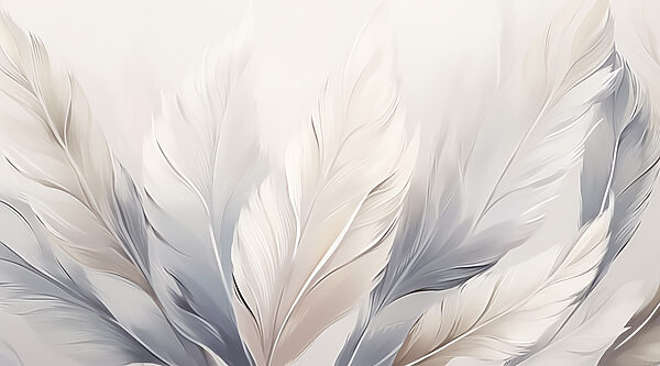 Groupe de plumes blanches et grises Groupe de plumes blanches et grises