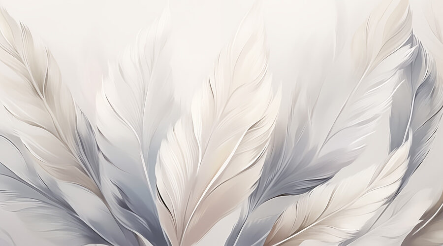 Groupe de plumes blanches et grises