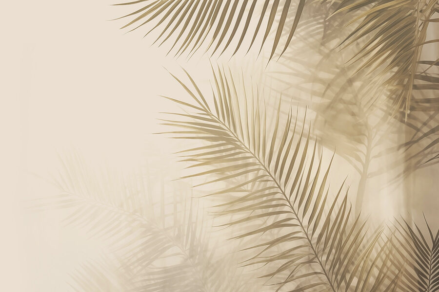 Feuilles douces sur fond de lumière tamisée