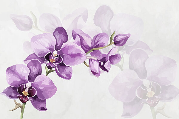 Fleurs violettes sur une branche Fleurs violettes sur une branche