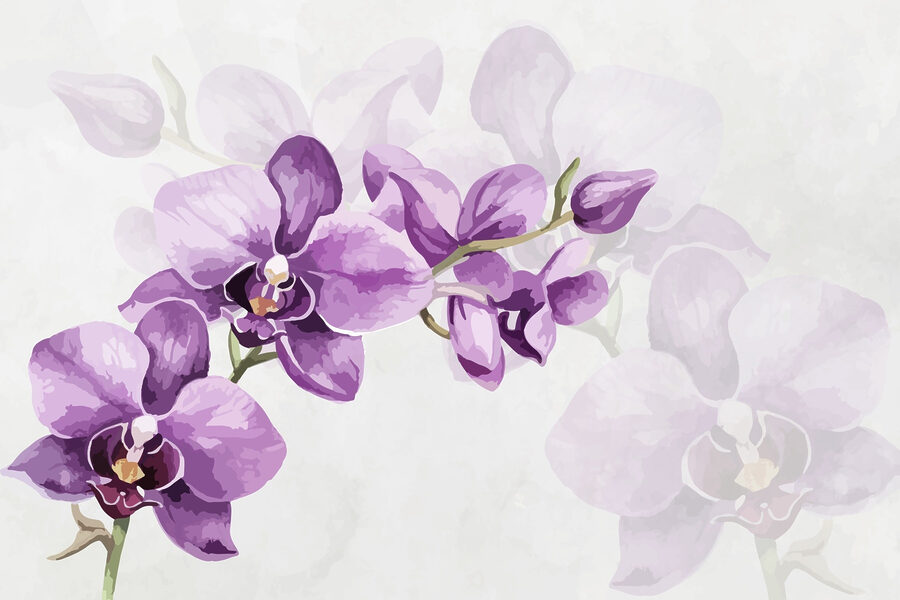 Fleurs violettes sur une branche