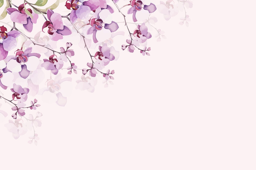 Des orchidées délicates dans des tons pastel doux Des orchidées délicates dans des tons pastel doux