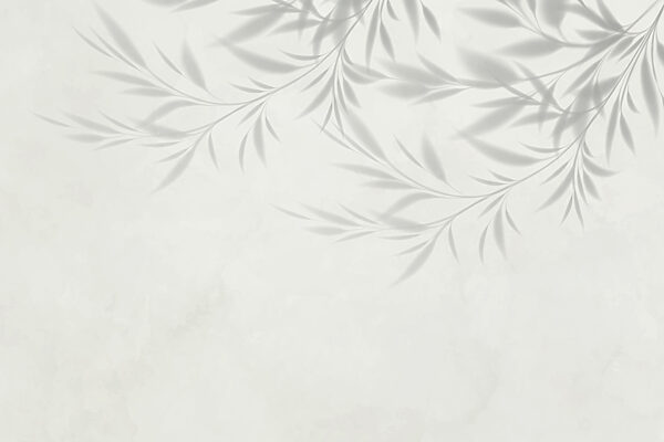 Ombre de feuilles sur un mur Ombre de feuilles sur un mur