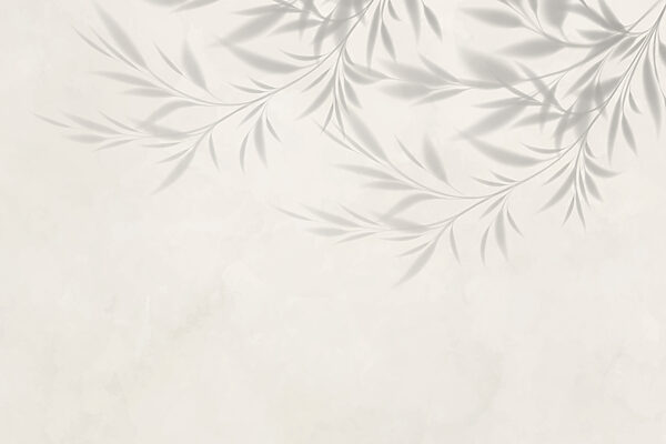 Ombre de feuilles sur un mur Ombre de feuilles sur un mur
