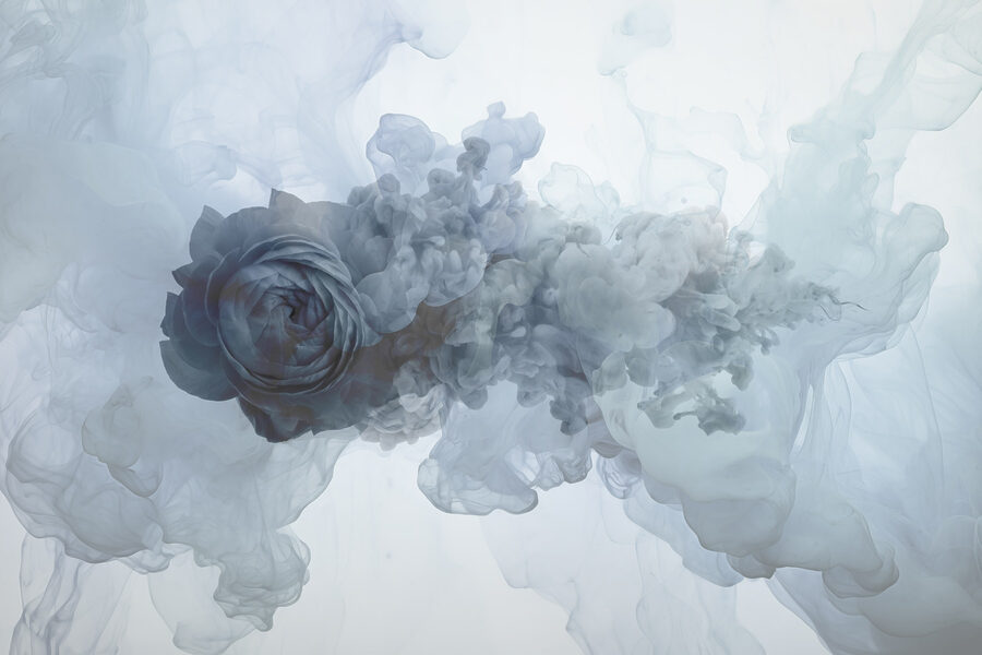 Fleur dans l'eau
