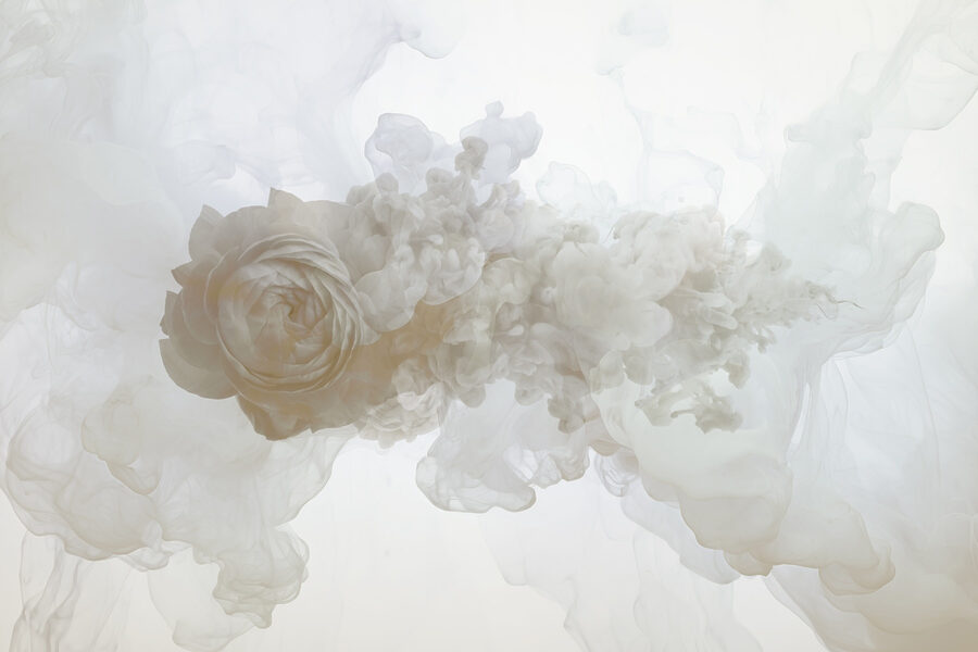 Fleur blanche dans l'eau
