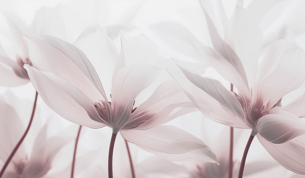 Des fleurs délicates aux teintes douces Des fleurs délicates aux teintes douces