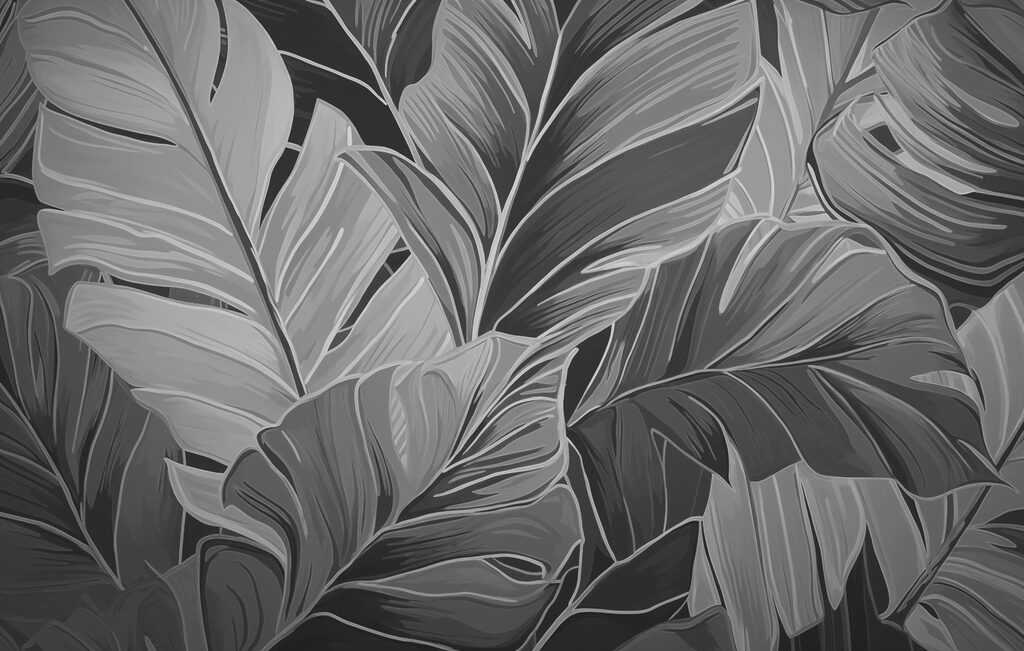 Motifs naturels dans des tons monochromes Motifs naturels dans des tons monochromes