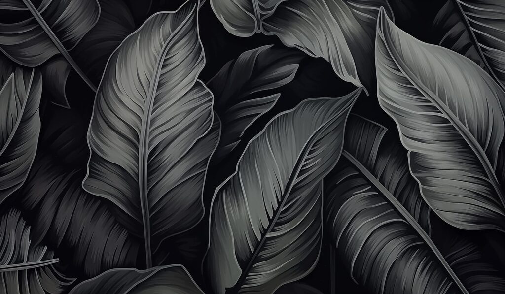 Feuilles texturées sur fond sombre Feuilles texturées sur fond sombre