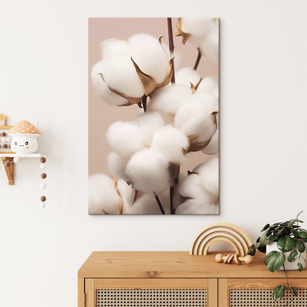 Soft cotton blooms in gentle light