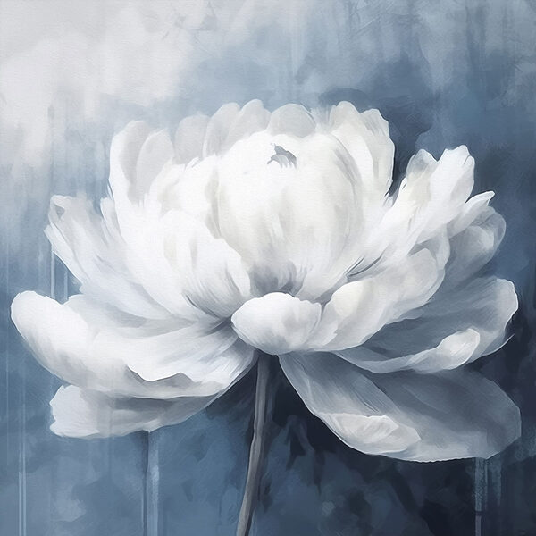 Fleur blanche sur fond bleu Fleur blanche sur fond bleu