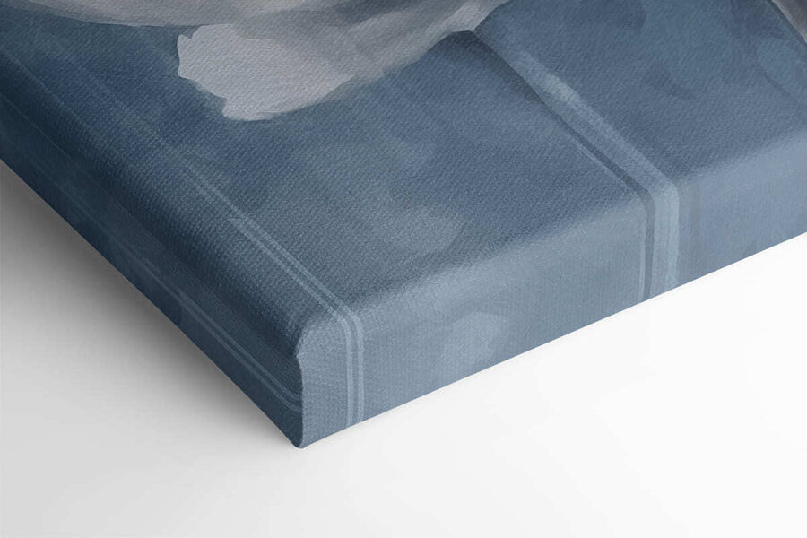 Fleur blanche sur fond bleu