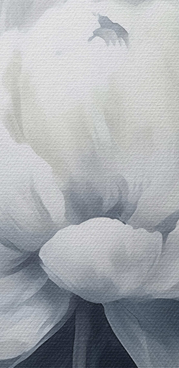 Fleur blanche sur fond bleu Fleur blanche sur fond bleu