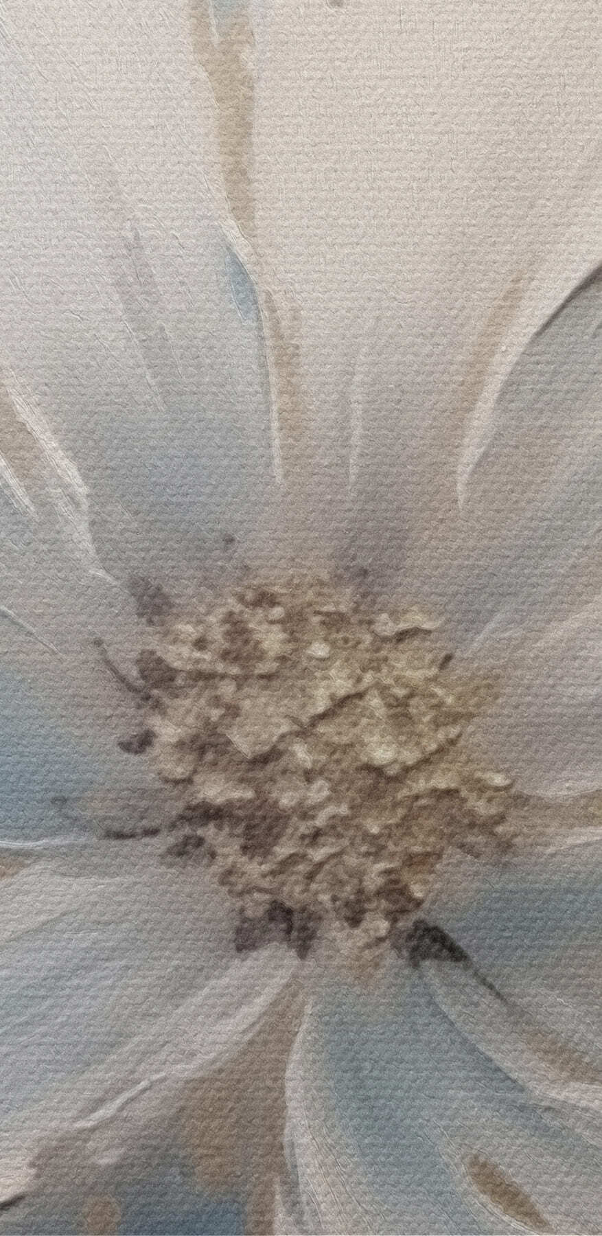Peinture d'une fleur blanche