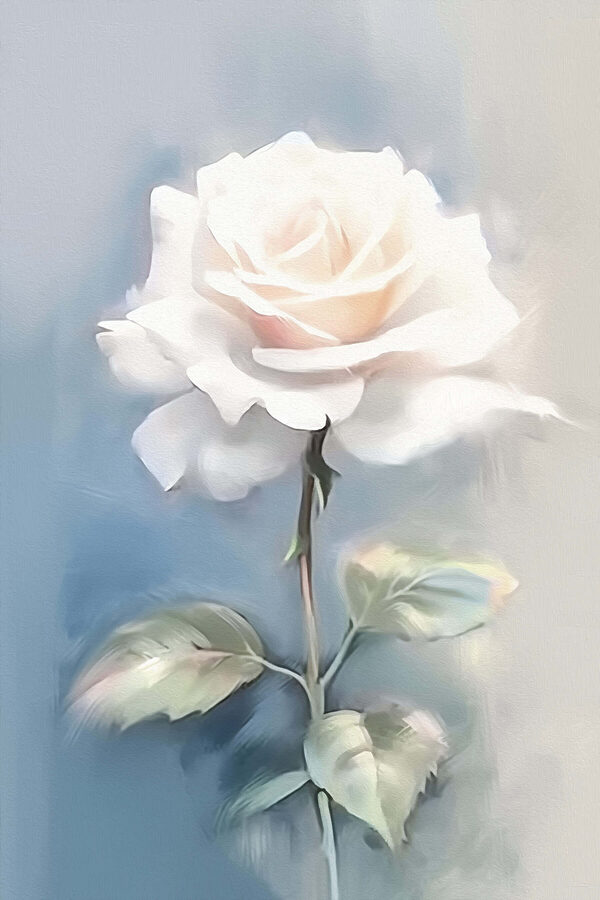 Rose blanche à feuilles vertes Rose blanche à feuilles vertes