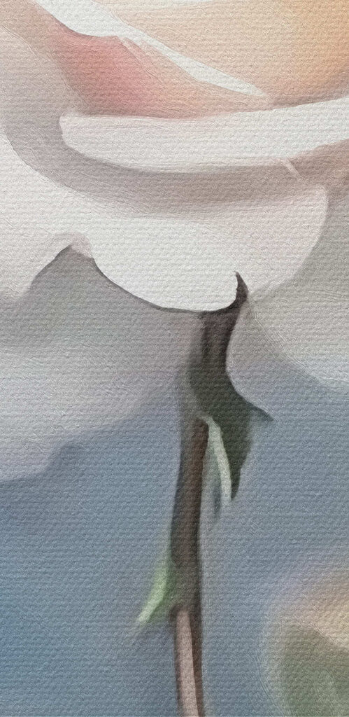 White rose with green leaves White rose with green leaves