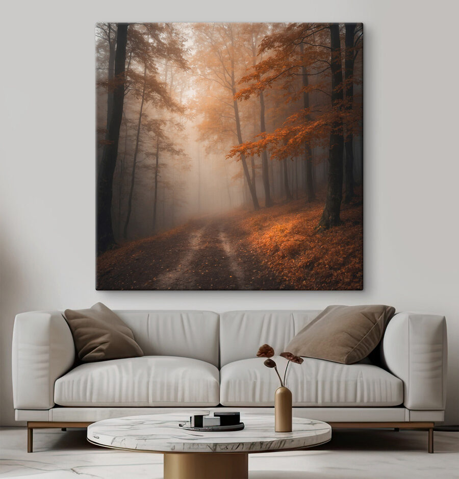Forêt brumeuse avec arbres et feuilles