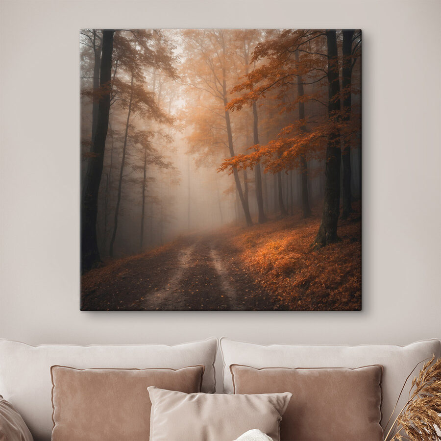 Forêt brumeuse avec arbres et feuilles