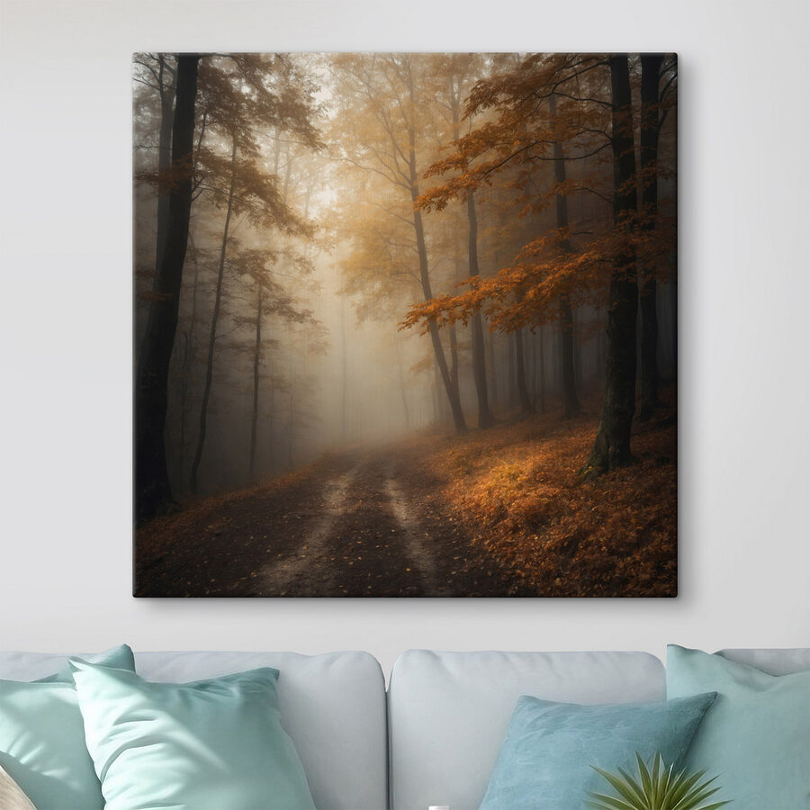 Forêt brumeuse avec arbres et feuilles