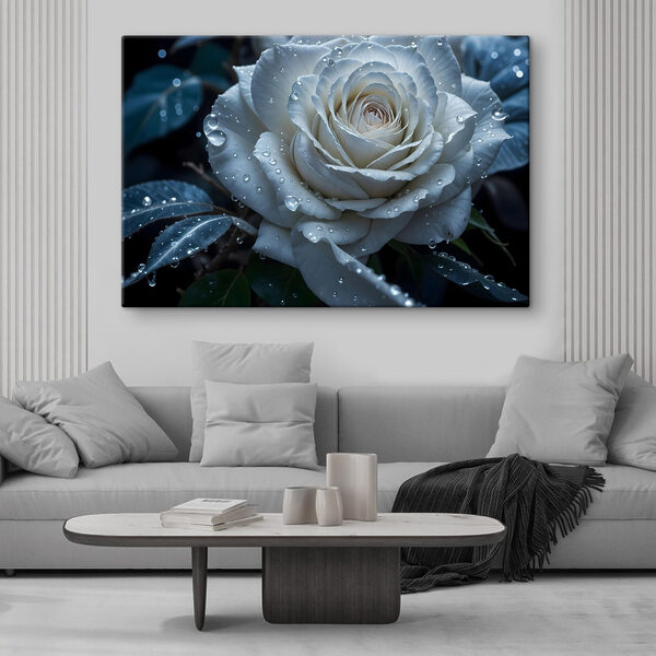 Rose blanche avec des gouttes d'eau Rose blanche avec des gouttes d'eau