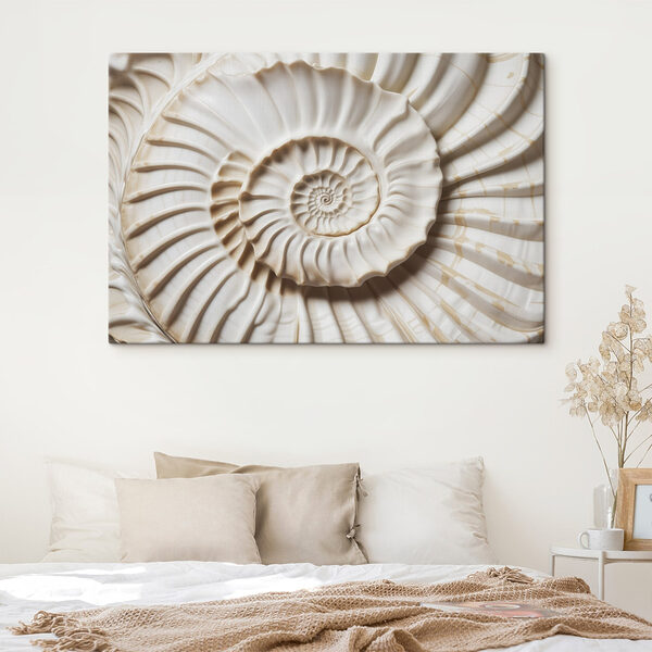 Un élégant motif de coquillage en spirale est magnifiquement mis en valeur. Un élégant motif de coquillage en spirale est magnifiquement mis en valeur.