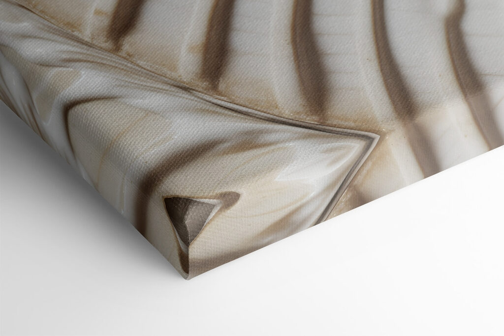 Elegant spiral shell pattern displayed beautifully