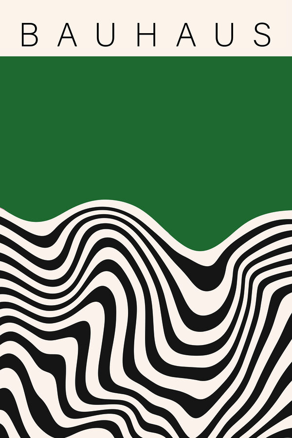 Lignes ondulées noires et blanches Lignes ondulées noires et blanches