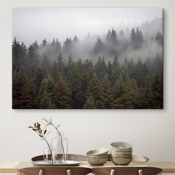 Groupe d'arbres avec brouillard Groupe d'arbres avec brouillard