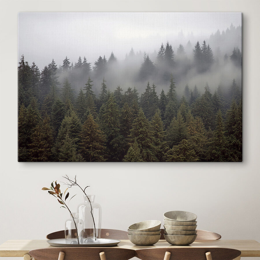Groupe d'arbres avec brouillard