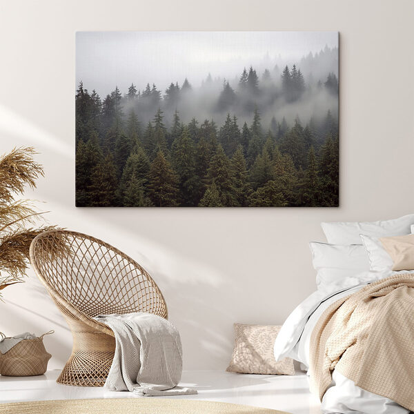 Groupe d'arbres avec brouillard Groupe d'arbres avec brouillard