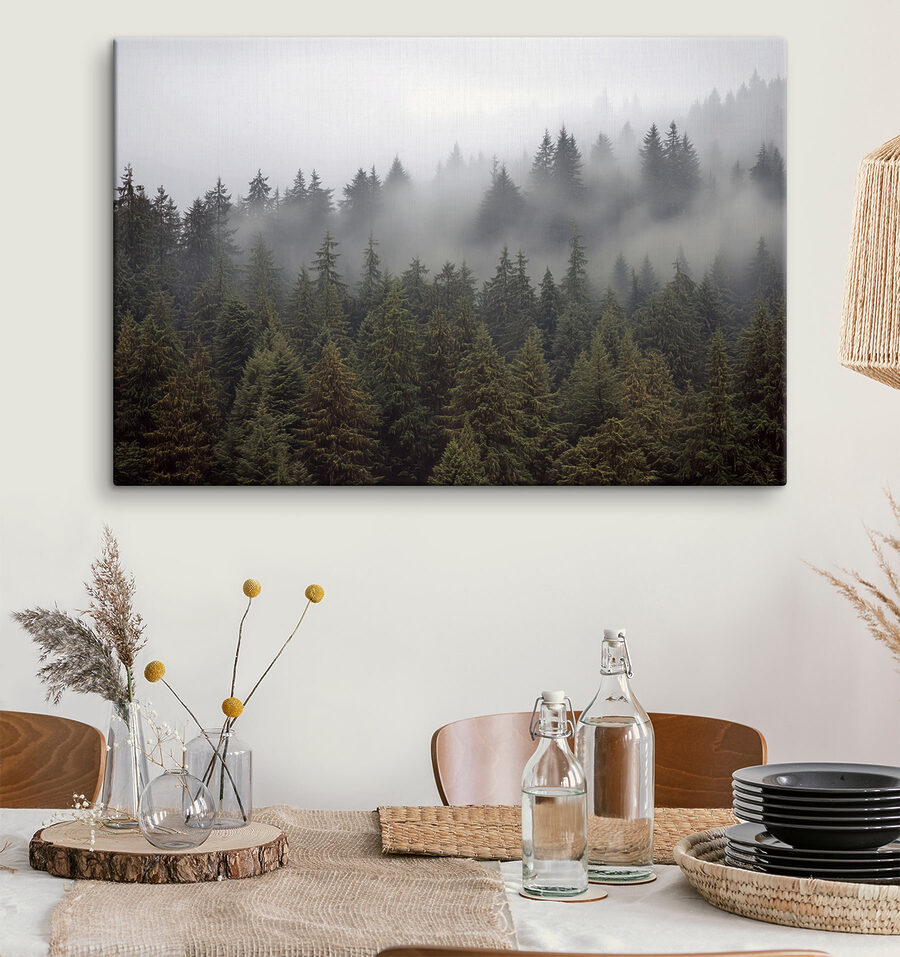 Groupe d'arbres avec brouillard