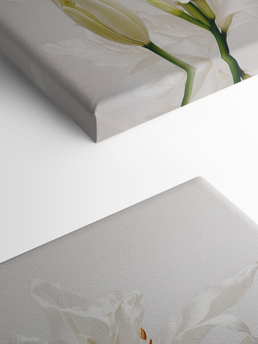 Groupe de fleurs blanches