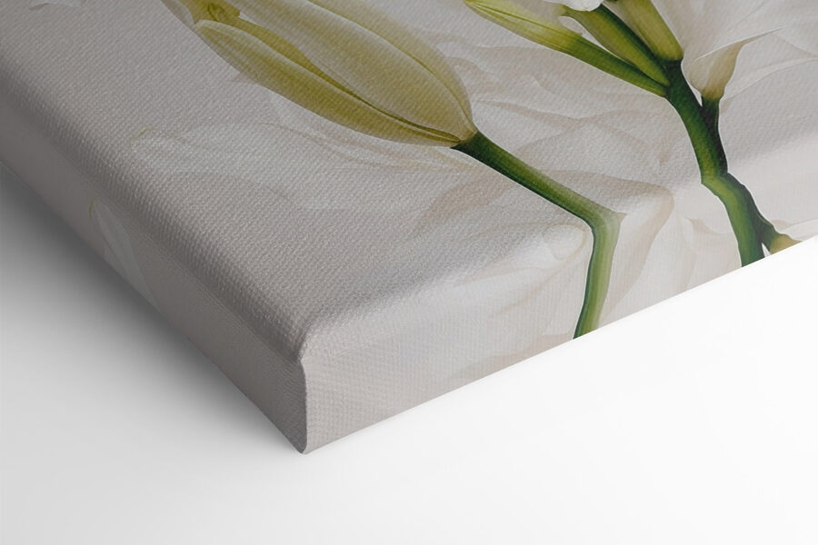 Groupe de fleurs blanches