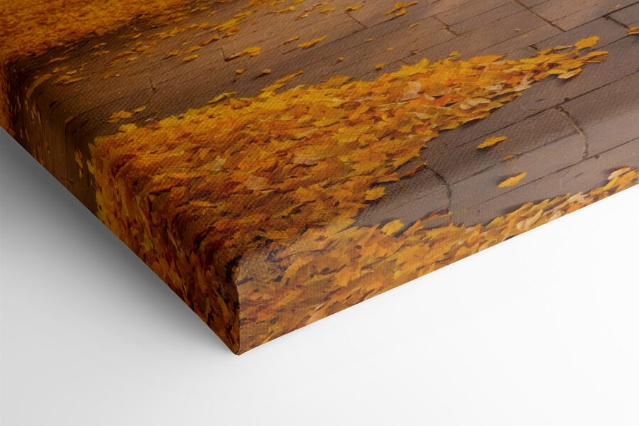 Chemin avec des feuilles d'oranger sur le sol Chemin avec des feuilles d'oranger sur le sol