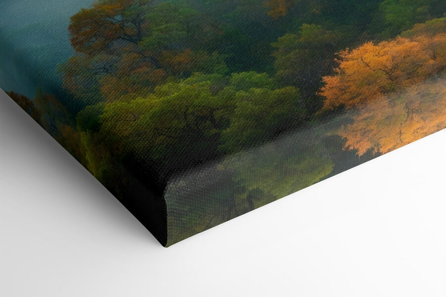 Forêt brumeuse avec des arbres