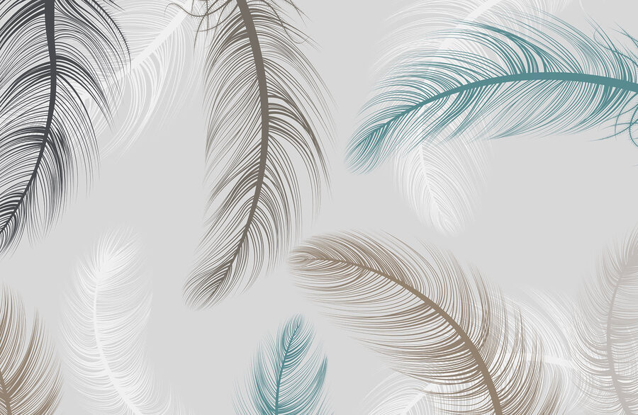 Groupe de plumes sur fond blanc
