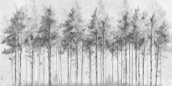 Groupe d'arbres dans une forêt Groupe d'arbres dans une forêt
