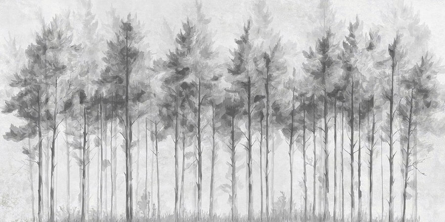 Groupe d'arbres dans une forêt