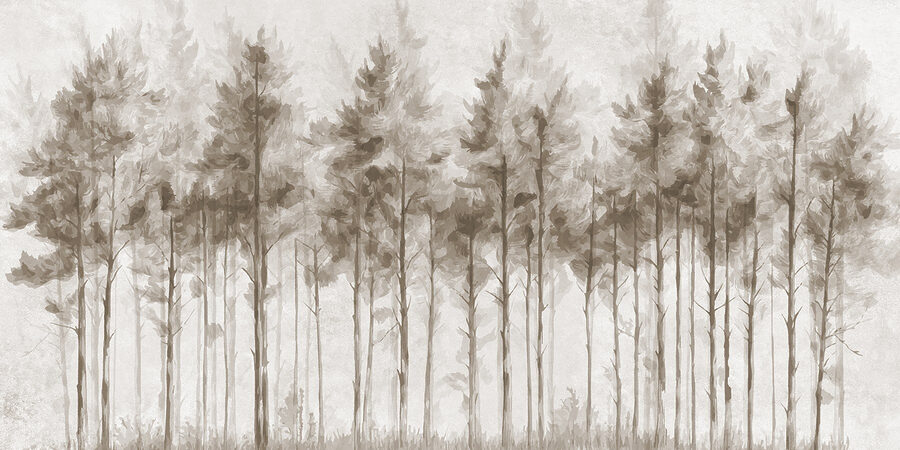 Group of trees in a forest Group of trees in a forest